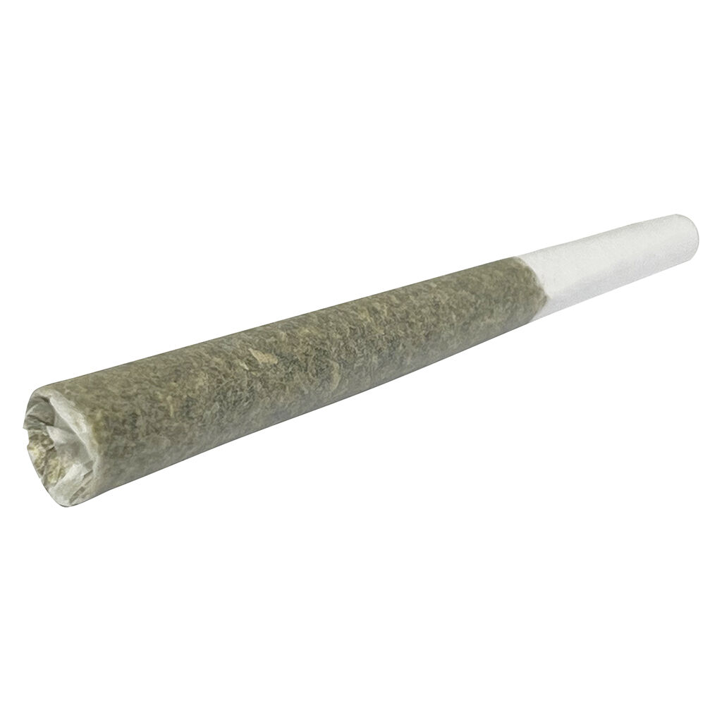 Cannon PreRoll  1x