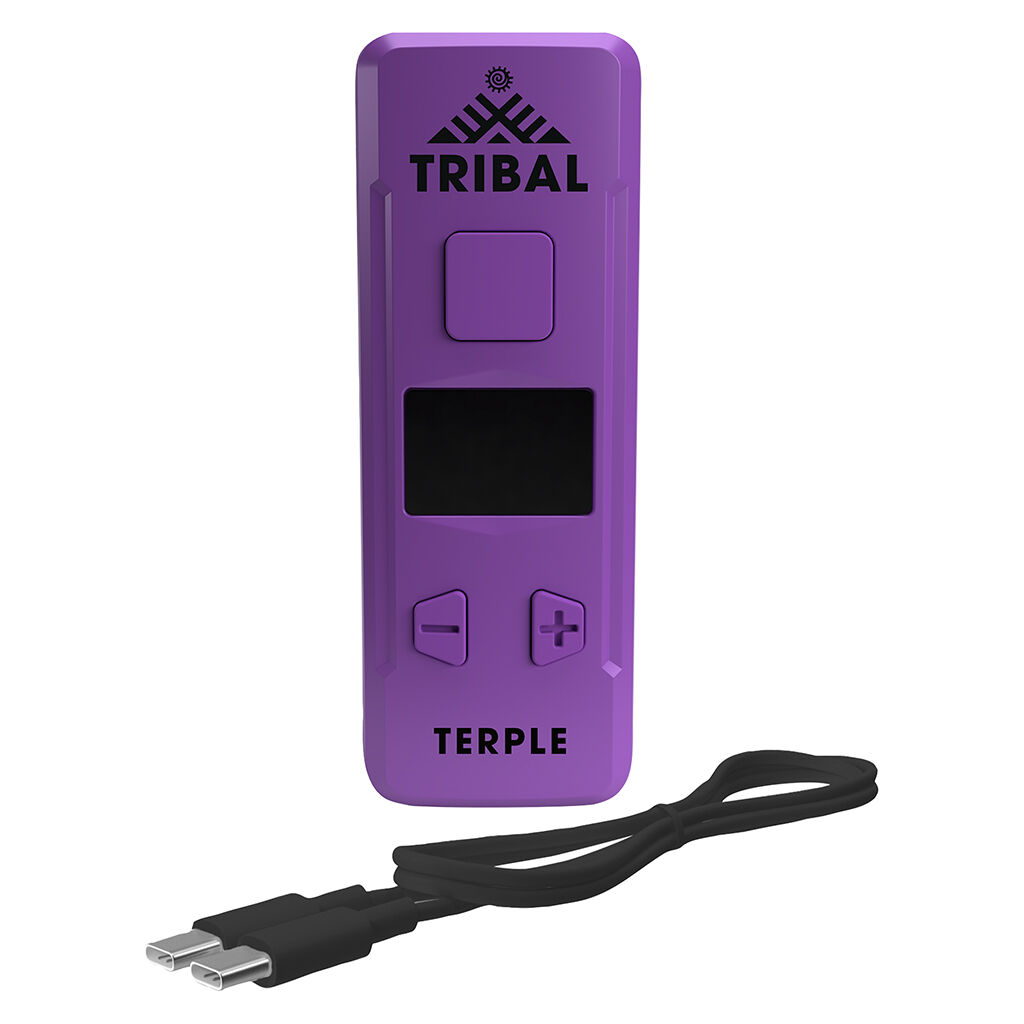 TERPLE 510 VAPE BATTERY  Purple