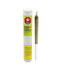Jean Guy Pre-Roll - 1x1g