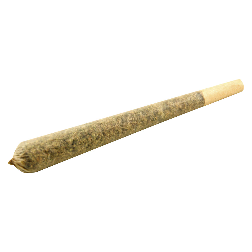 GO TIME PreRoll  10x0.5g