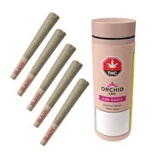 CBD Runtz Pre-Roll - 5x0.6g