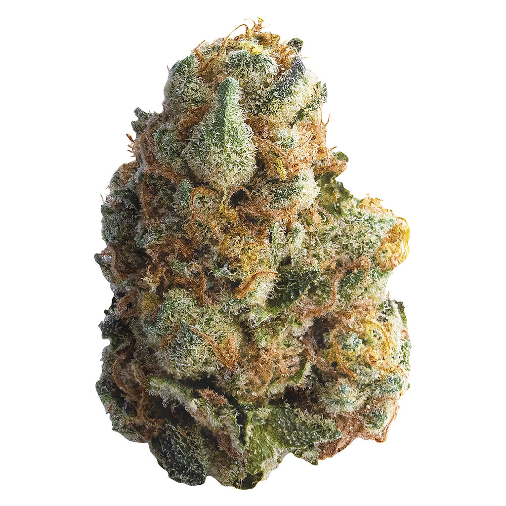 Spinach - GMO Cookies