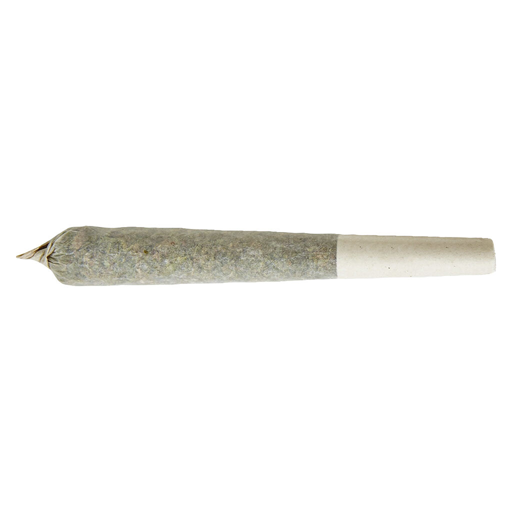 Indica Preroll  1x